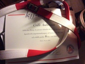 12376628_10153693702469125_5876402827388649133_n