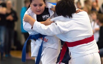 Utvecklingsmodell för svensk jujutsu