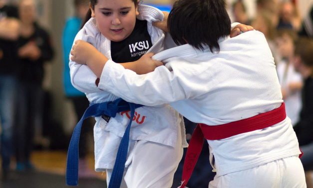 Utvecklingsmodell för svensk jujutsu