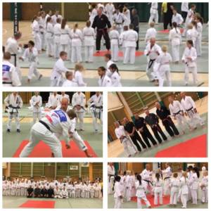 minami-budokai-ho%cc%88stla%cc%88ger-2016-1