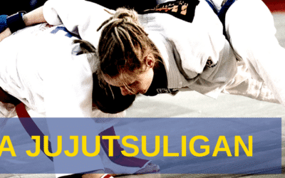 Arrangörer sökes för SJJL 2019
