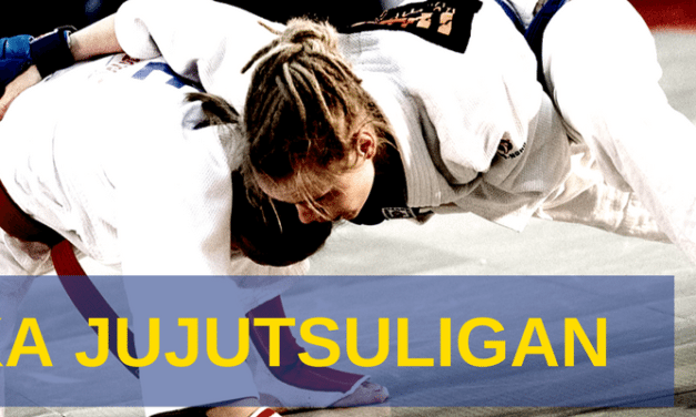 Arrangörer sökes för SJJL 2019